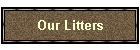 Our Litters