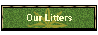 Our Litters