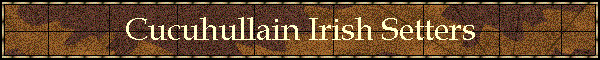 Cucuhullain Irish Setters