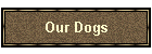 Our Dogs