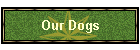 Our Dogs