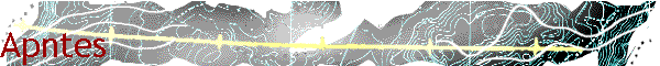 Apntes