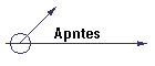 Apntes
