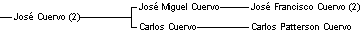 jose cuervo(2)