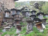 Tru�banos: Troncos vaciados para la producci�n de miel por las abejas.