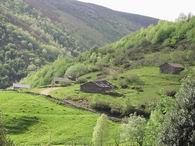 Bra�as de Antol�n (Vallao)