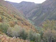 Corros' view in October