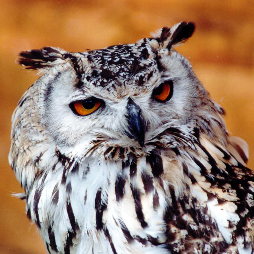 SEE MY NON-AVIATION PHOTO'S ! ! !