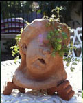 Head plant container