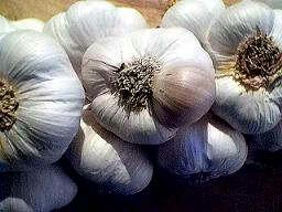 Garlic Bulbs