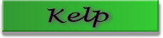 Kelp