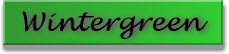 wintergreen