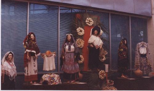 exposicion