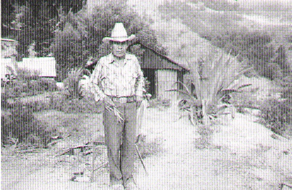 mauro villeda