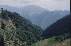 sierra gorda