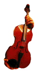 Viola