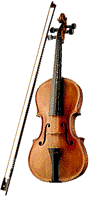 Violino
