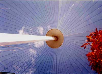Canopy