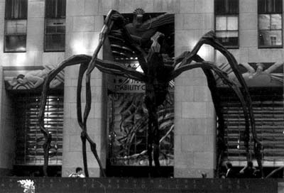 spider