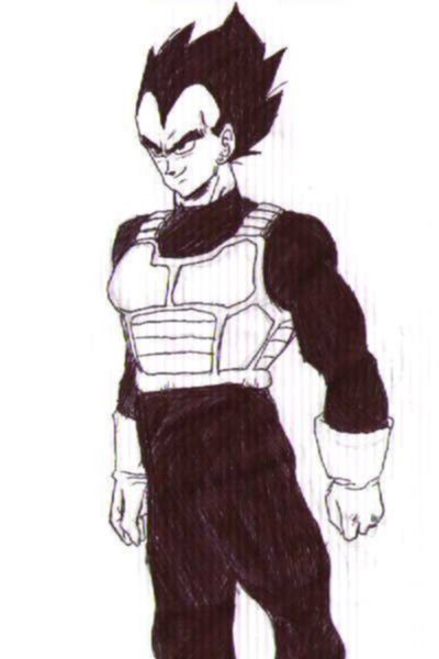 ������-Vegeta