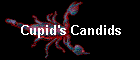 Cupid's Candids