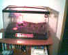 cupidssetup.jpg (39047 bytes)