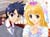2586.MallowBlueflower_04-1124