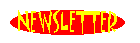 It's our COOL and EXCITING newsletter!