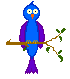 singing blue bird