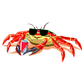 cool crab