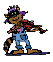 dancing racoon