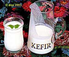 Kefir