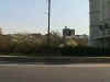 Park .jpg (20316 bytes)
