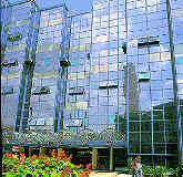 curitiba4.jpg (7807 bytes)