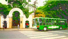 jardineira.jpg (8727 bytes)