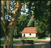 jo�o paulo.jpg (8505 bytes)