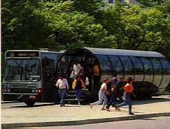 ligeirinho.jpg (10679 bytes)