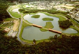 tingui.jpg (16507 bytes)