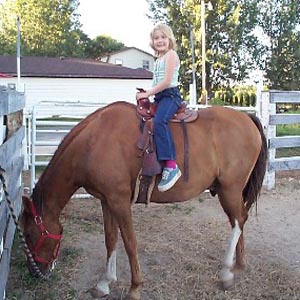 Horse