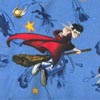 Harry Potter Fabric