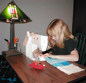 Sewing Strips