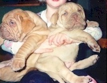 TNT's pups