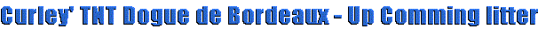 titlitter.gif (3525 bytes)