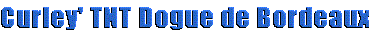 titmain.gif (2605 bytes)