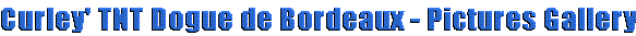 titpictures.gif (3436 bytes)