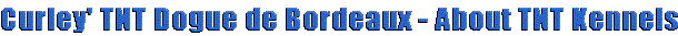 tittnt.gif (3570 bytes)