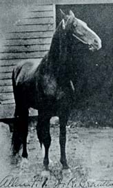 Allen F-1 (TWH)
