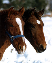 Dakota Rain (l) & Sunshine Ka-Xan (r)