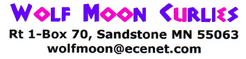 Wolf Moon banner