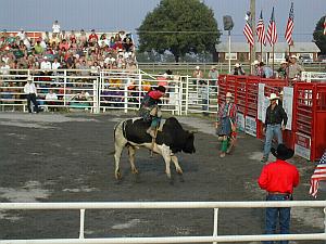 Yee haw!
